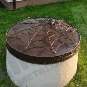 Akas vāks ar zirnekļa tīklu un zirnekli