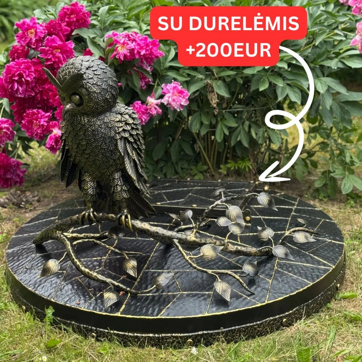 Akas vāks ar pūci - Image 5